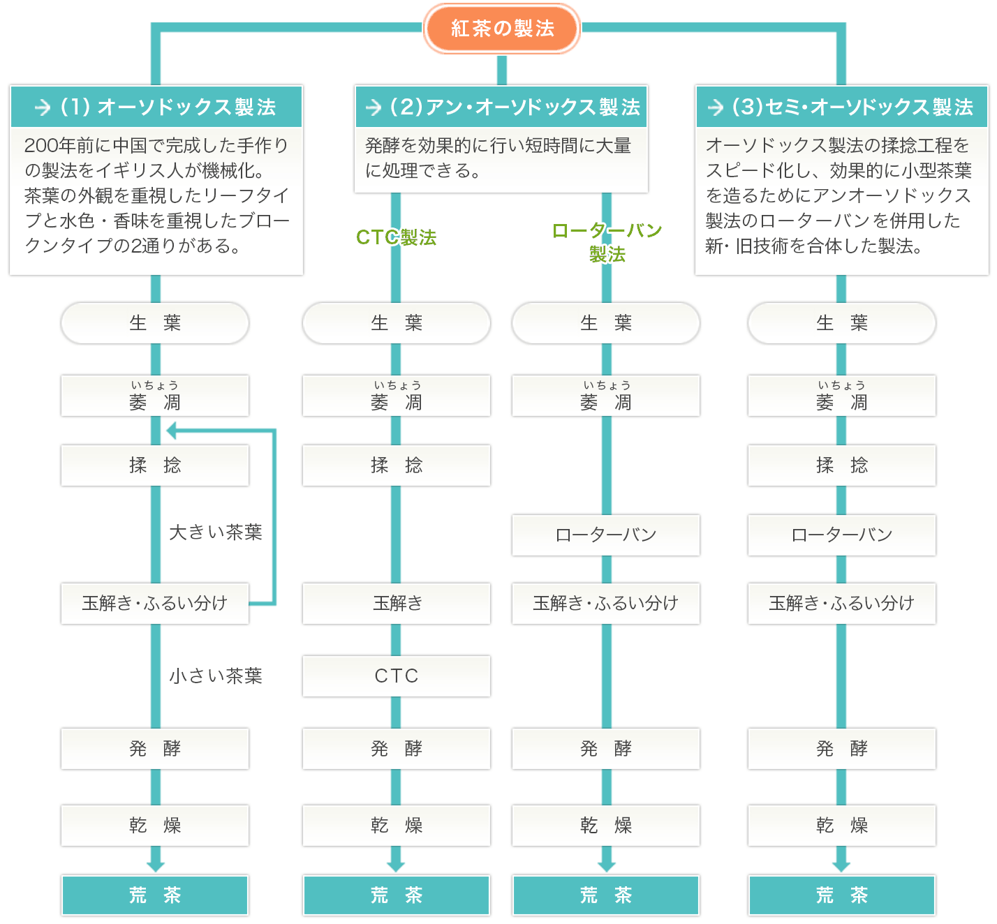 紅茶の製造工程 荒茶工程 お茶ができるまで お茶百科