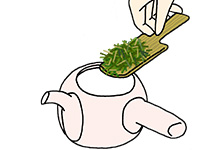 煎茶のおいしいいれ方 お茶のおいしいいれ方 お茶百科