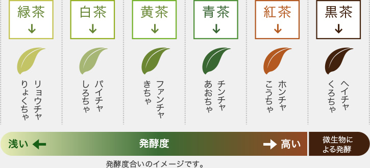 中国茶の種類 お茶の種類 お茶百科