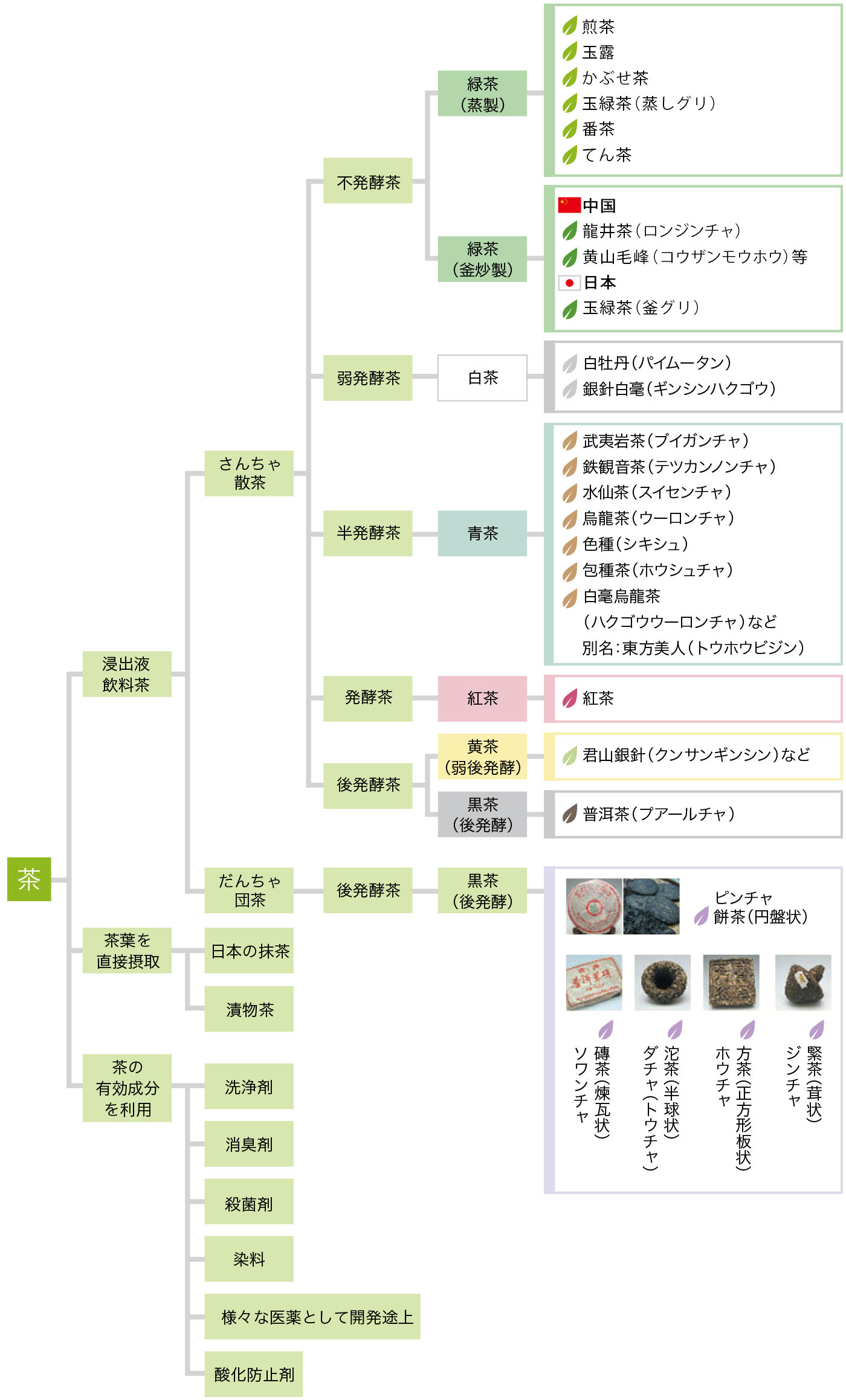 お茶の分類 お茶の種類 お茶百科