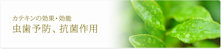 虫歯予防、抗菌作用