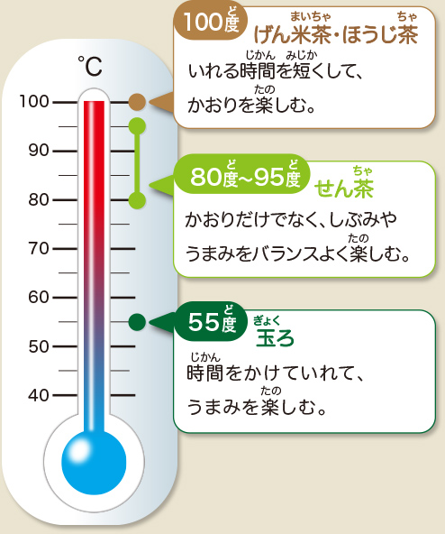 お茶をもっと楽しむトップ お茶百科キッズ