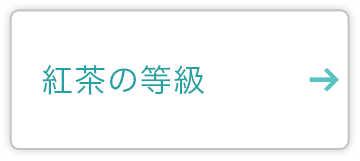 紅茶の等級