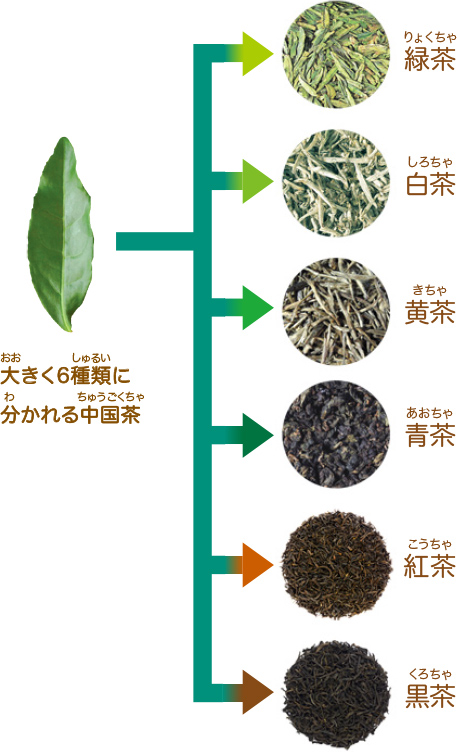大きく6種類に分かれる中国茶