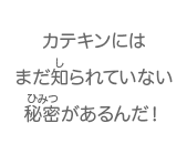 カテキンにはまだ知られていない秘密があるんだ！