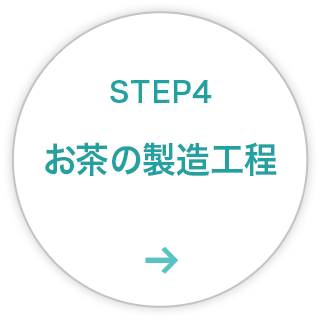 STEP4：お茶の製造工程