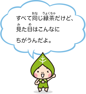 すべて同じ緑茶だけど、見た目はこんなにちがうんだよ。