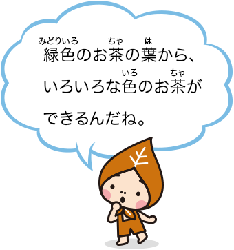 緑色のお茶の葉から、いろいろな色のお茶ができるんだね。