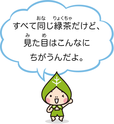 すべて同じ緑茶だけど、見た目はこんなにちがうんだよ。