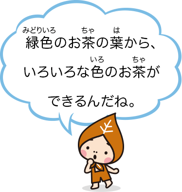 緑色のお茶の葉から、いろいろな色のお茶ができるんだね。