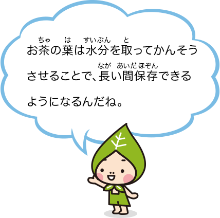 お茶の葉は水分を取ってかんそうさせることで、長い間保存できるようになるんだね。