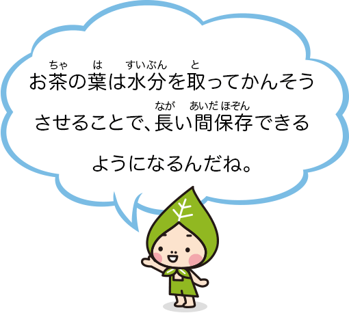 お茶の葉は水分を取ってかんそうさせることで、長い間保存できるようになるんだね。