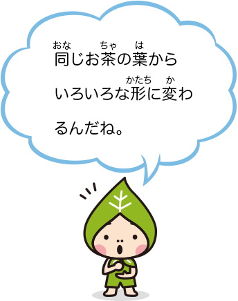 同じお茶の葉からいろいろな形に変わるんだね。