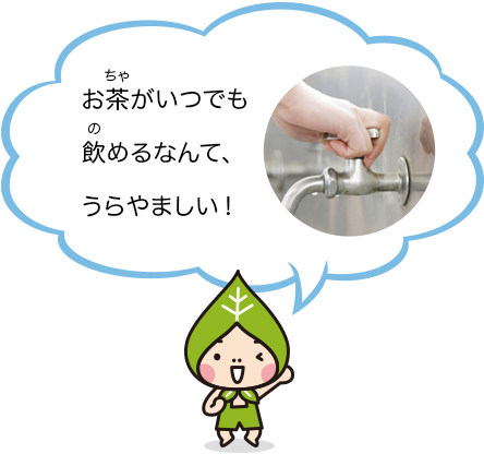 お茶がいつでも飲めるなんて、うらやましい!